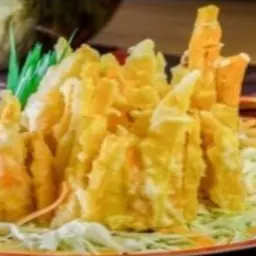 Fried Squash And Carrot Slices